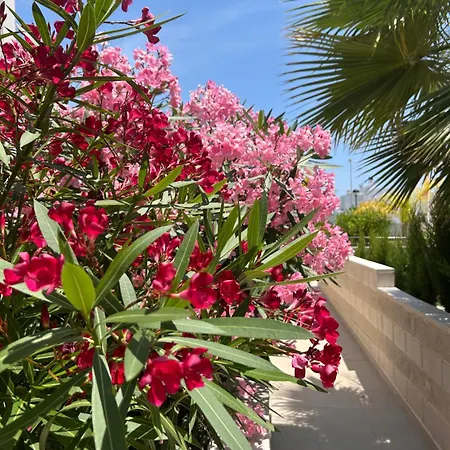 아파트 Sol Y Mar - Rooftop Terrace, Private Pool - Adhara *
